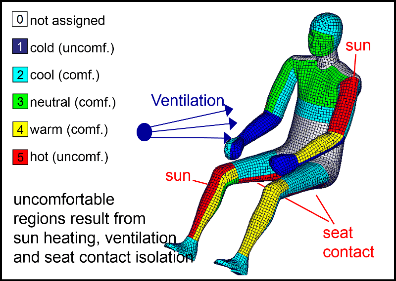 Image of Exemplary Thermal Comfort Results for a Sitting Human