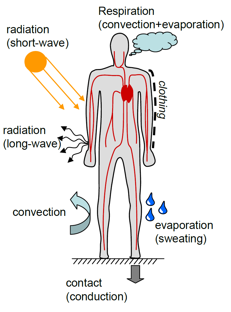 Schematic demonstrating various Environmental Effects Acting on a Human Body and its Thermoregulatory Mechanism