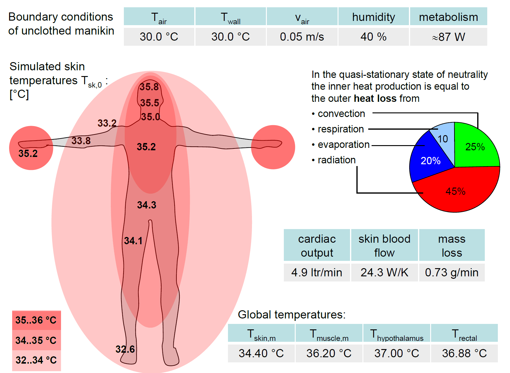 Schematic showing Typical Temperature Results and other Quantities for Thermal Neutrality State of Virtual Human Thermal Model