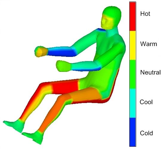 显示虚拟坐姿人体模型局部舒适性结果的图像